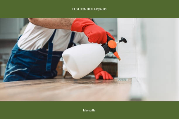 PEST CONTROL Maysville